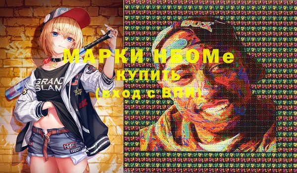 шишки Вязники